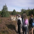 Les sorties de rentrée 2011