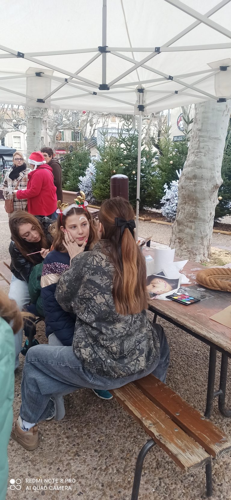 Lire la suite à propos de l’article 20 Déc 2025 : les terminales proposent des animations à Capestang