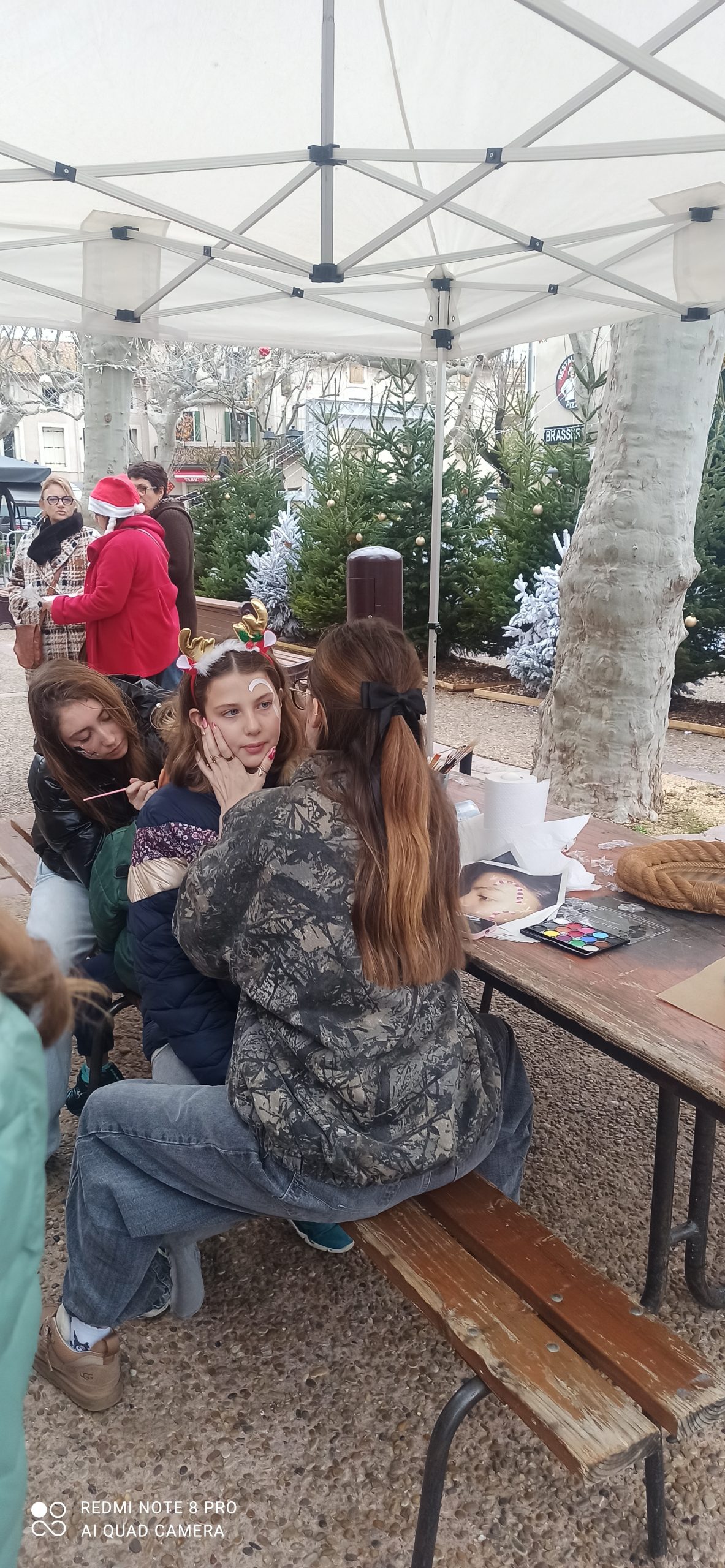 You are currently viewing 20 Déc 2025 : les terminales proposent des animations à Capestang